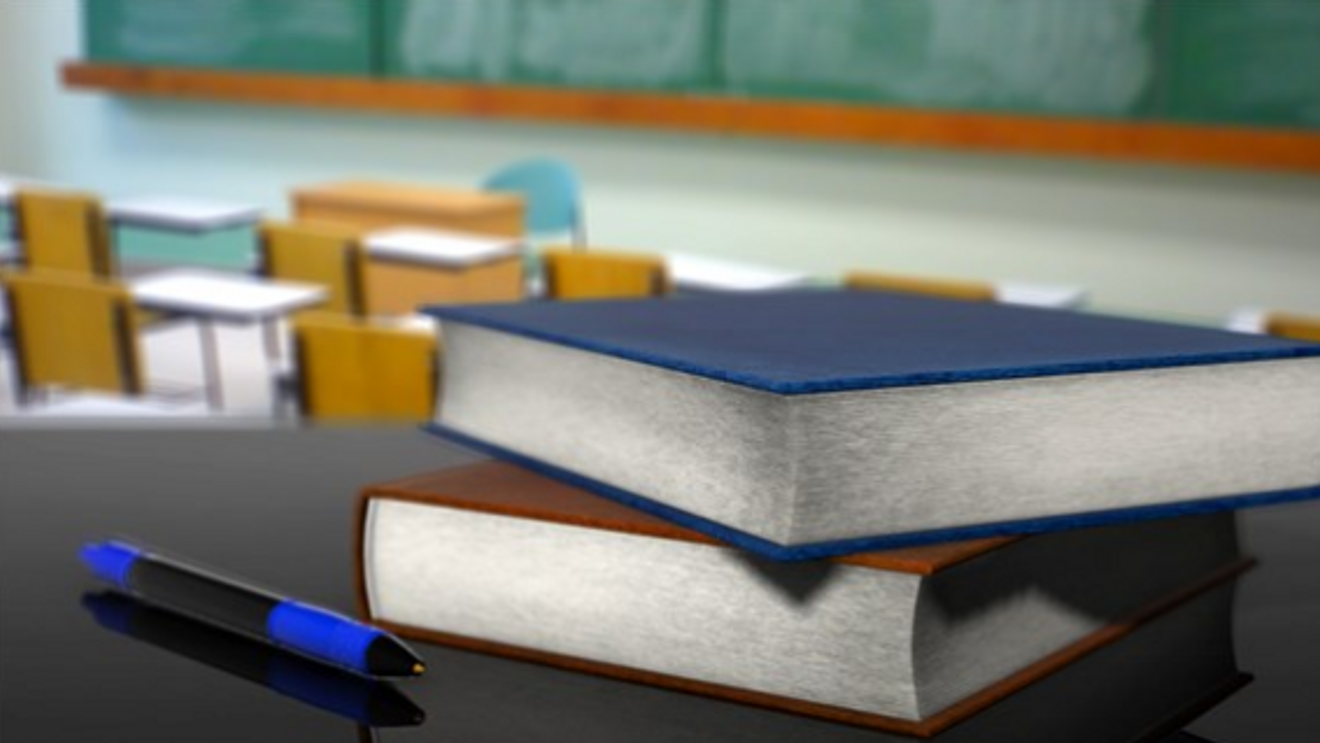 Debate continues: expanding K-5 curriculum to include more teaching of equity, diversity