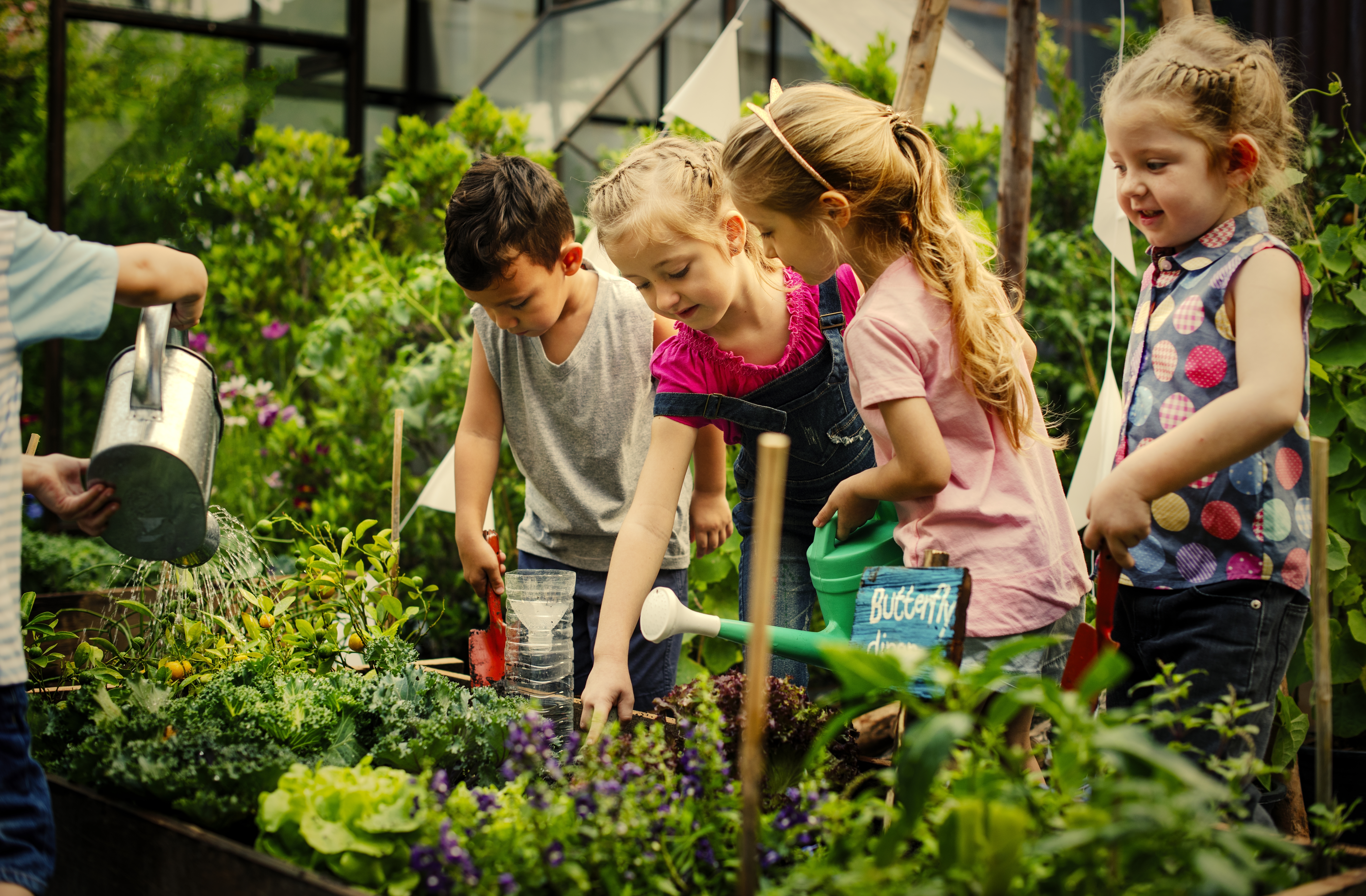 Outdoor Learning Activities for Upper Elementary